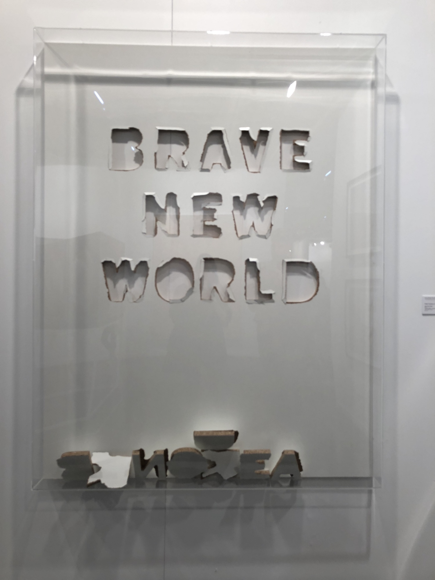 Brave New World - Didier Faustino