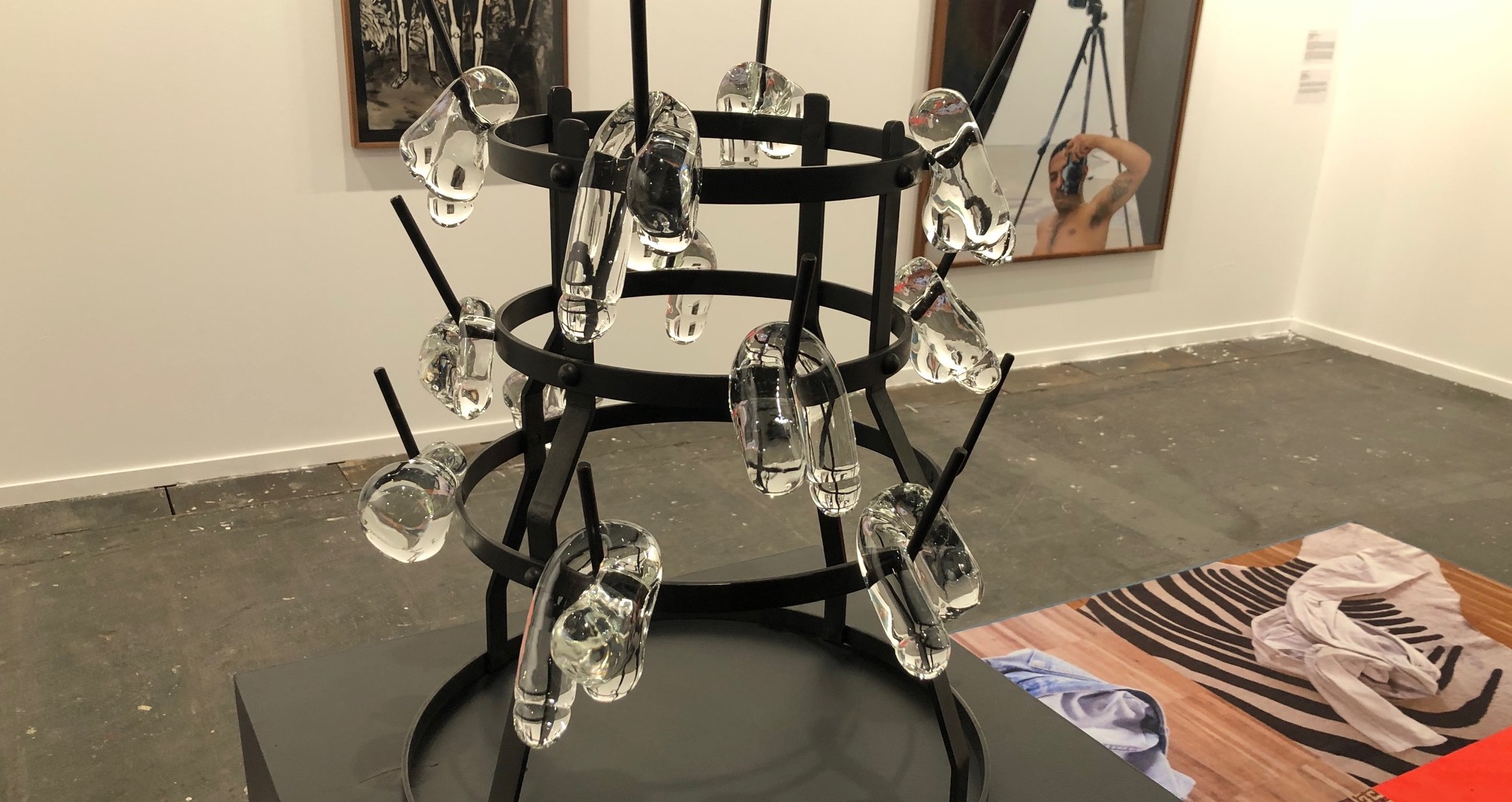 Fleurs du mal. Monica Bonvicini.