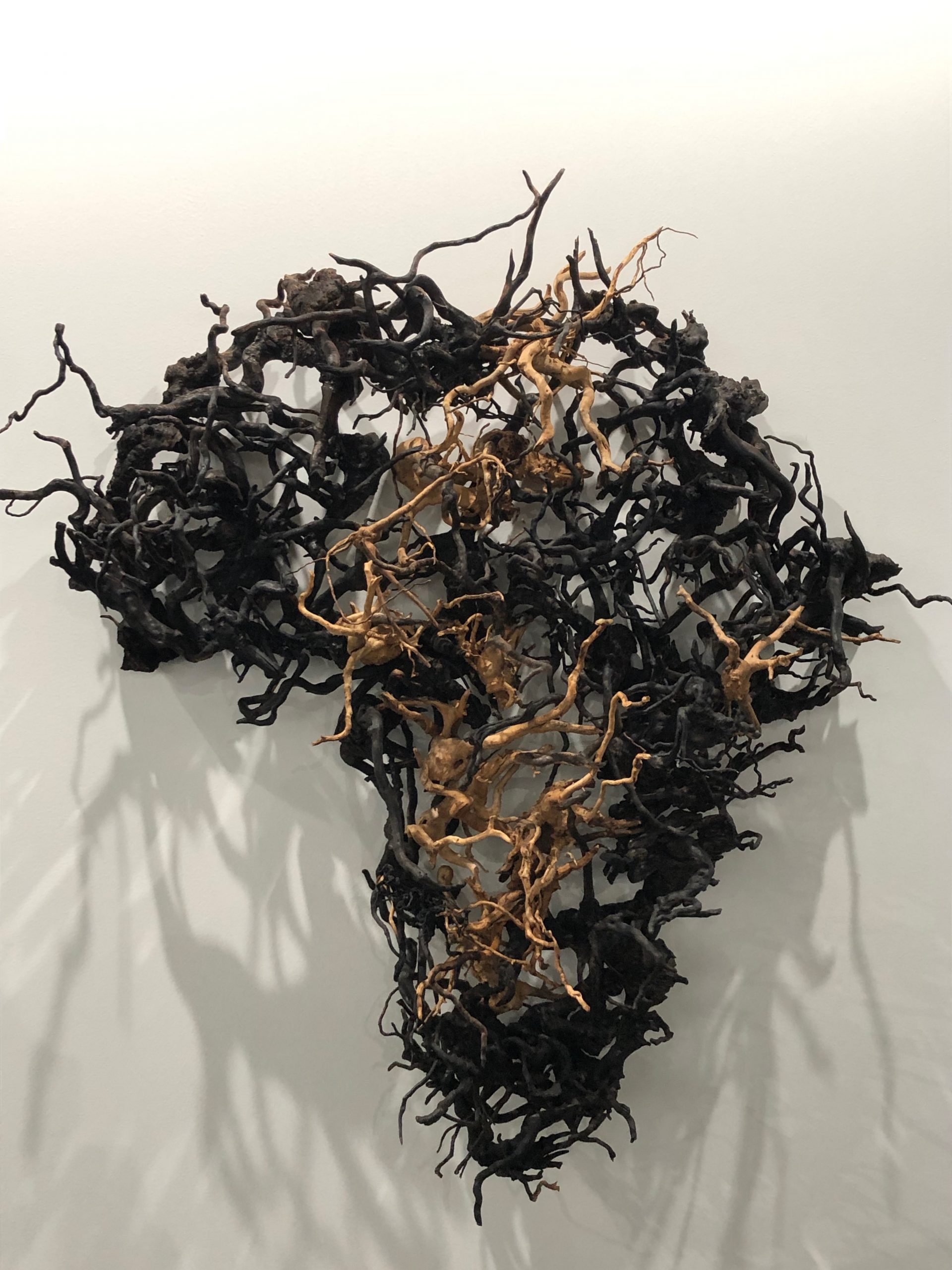 Rewired.Pamen Pereira. (Premio AECA en Arco 2022)