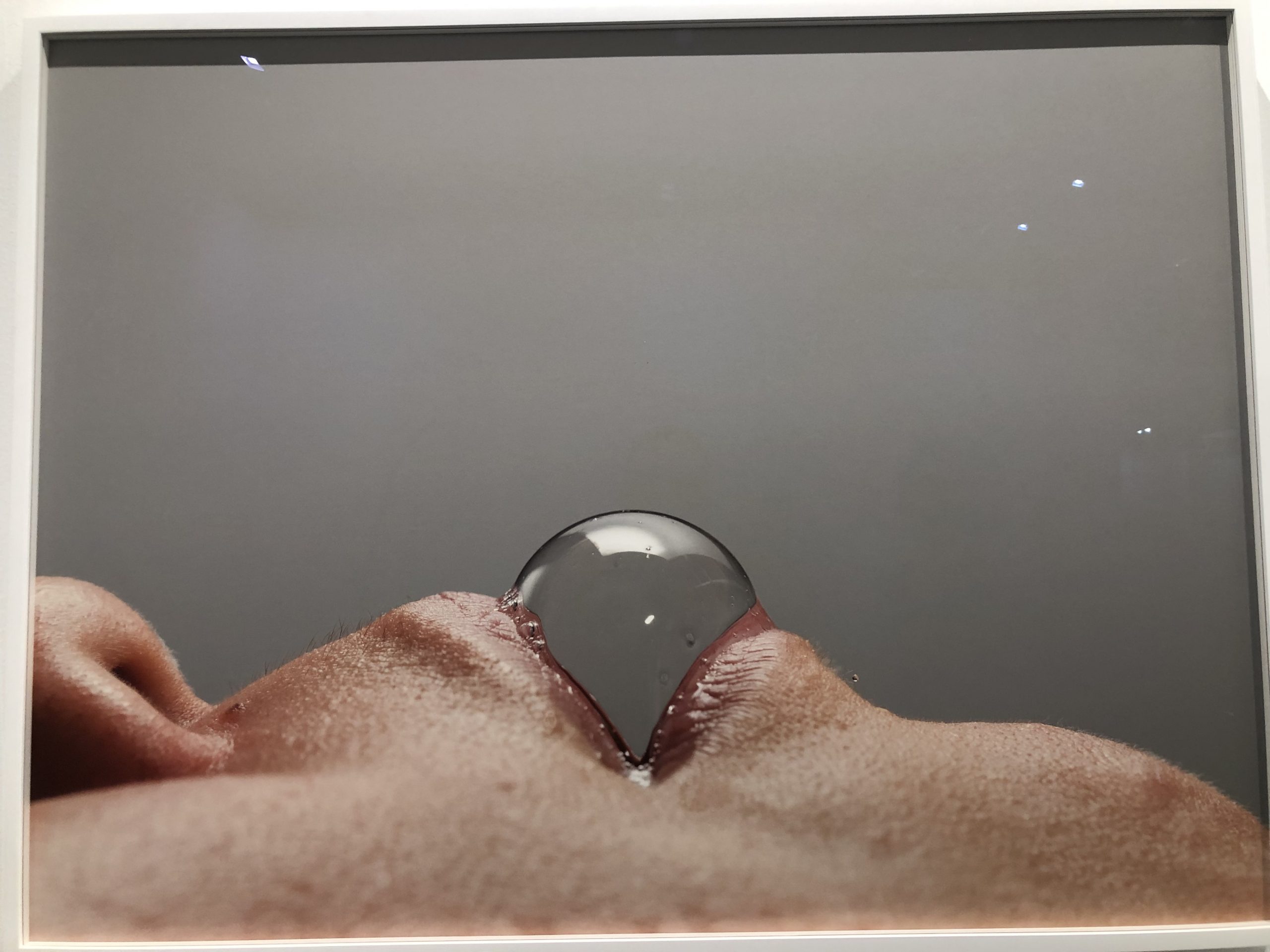 Untitled (Bubble).Jimena Kato.